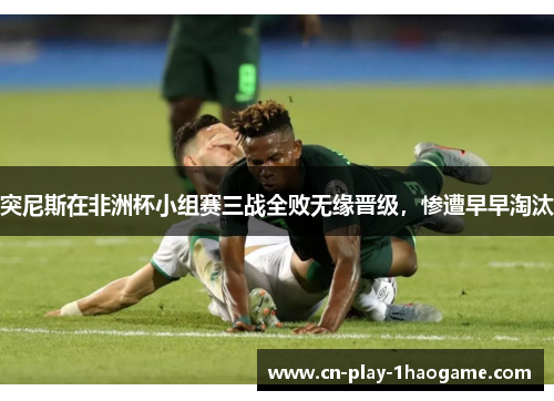突尼斯在非洲杯小组赛三战全败无缘晋级,惨遭早早淘汰 突尼斯在非洲杯小组赛三战全败无缘晋级,惨遭早早淘汰
